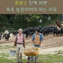 목초농장 이미지