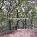 산복약수터 이미지