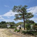 의동경로당 이미지