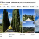 토스카나 | 피렌체 토스카나 투어 치비타 와이너리 내돈내산 후기