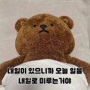 [공연후기] OVAL SISTEM SEOUL 콘서트 이미지