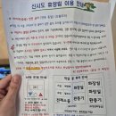 군산농업협동조합 | 군산 신시도자연휴양림 오션뷰 숙소 견우직녀달 주말 숙박 후기