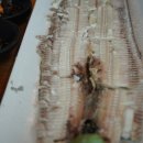 제주도해녀세자매 이미지