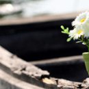 꿈에 선율 이미지