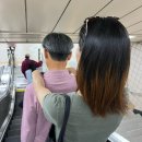 부래도 화장실 | 2024년 5월 셋째 주 일상 :: 갑자기 4년 만에 한국에 모두 모인 네 가족, 갑자기 다녀온 1박 2일 인생...