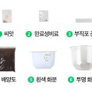 반려식물(홈가드닝) 이미지