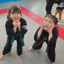 태극타이거합기도 이미지