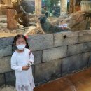 세븐일레븐 대구신암점 | 완전 신상 대구 동구 신암동 핫플 옛날 치킨 맛집 / 8900원에 2마리, 배터지겠어! / 가성비갑!존맛탱 ㅇㅈ?