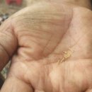 산정농장 이미지