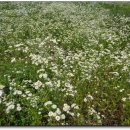 포전약수터 이미지