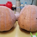 대왕농장 이미지