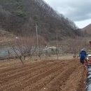 배성농장 이미지