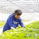 청명농장 이미지