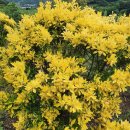 사철농장 이미지