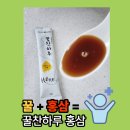 건강홍삼 | 홍삼과 꿀을 한번에 건강 꿀찬하루 홍삼 내돈내산 후기