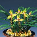 수천농장 이미지