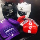 브라보 복싱 이미지