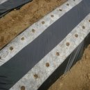 안터사슴농장 이미지