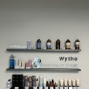 위스도산(wythe)