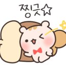 유성초등입시학원 이미지