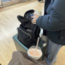 교회백화점 | 광장/깜삐예배당/무민샵/마리메꼬/스토크만백화점/아르텍/템펠리아우키오 교회/올드마켓/헬싱키대성당)