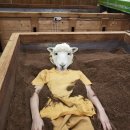 정일목욕탕 | 송죽동피부관리 수원효소찜질 명품효소원에서 처음 해본 후기 효과 가격도 제일저렴해