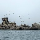 연평바다살리기영어조합법인 | 인천관광공사,‘자연과 상생하는 관광 거점’생태관광마을 신규 모집