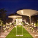 호텔 마에스트로 이미지