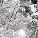 백두여인숙 이미지