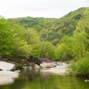 서출동류 물길 트레킹 길 이미지