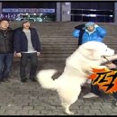 1박2일 이미지