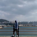 블루 | 유니클로 경량패딩 퍼프테크 파카 내돈내산 블루 후기