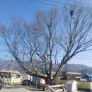 양등경로당 이미지