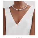 프레드