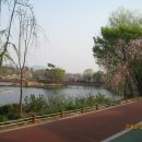 영산 연지못 이미지