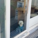 면목동-103 | 누커리 ] 나만 알고 싶은 구움과자 찐맛집 | 면목동 카페 '누커리(Nookery)‘ 찐단골의 내돈내산 후기 ⭐️