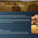 대한싸이로(주)
