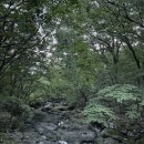 [친구와 7월의 제주 여행] 한라산 등산_관음사 탐방로_애월 무수천 물놀이