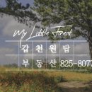 갑천원탑공인중개사사무소 이미지