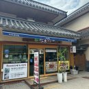 오대산 산채정식 | 강원도 평창 여행 오대산 월정사 맛집 추천 “오대산민속식당” 산채정식 후기