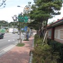 새천년도로(정라) 이미지
