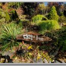 화가의정원 이미지