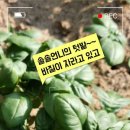 무수천하마을 이미지