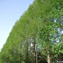 효원약국 이미지