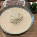 두타동물병원 | 광교 콩국수 맛집 면미정 주말 점심 웨이팅 방문후기