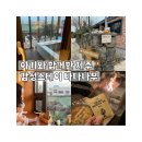 애월 황토 독채 휴스테이 | 제주도 아기 독채펜션 추천 감성스테이 바다나무 4박 후기