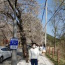 벚꽃공인중개사사무소 이미지