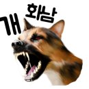 닥터호오 동물병원 이미지