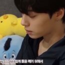 보웅 Daum카페