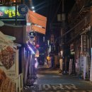 돌고래노래연습장 이미지